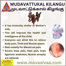 Load image into Gallery viewer, MUDAVATTUKAL KILANGU முடவாட்டுக்கால் கிழங்கு - MAVASIVA SHOPPING