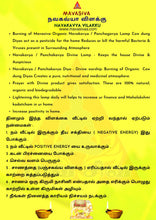Load image into Gallery viewer, MAVASIVA ORGANIC NAVAKAVYA / PANCHAGAVYA VILAKKU ( PACK OF 12 ) - MAVASIVA