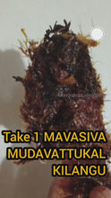 Load and play video in Gallery viewer, MUDAVATTUKAL KILANGU முடவாட்டுக்கால் கிழங்கு