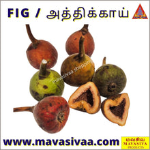 Load image into Gallery viewer, FIG / அத்திக்காய் ( 250 gms ) - MAVASIVA SHOPPING
